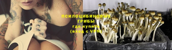 прущие крисы Алзамай