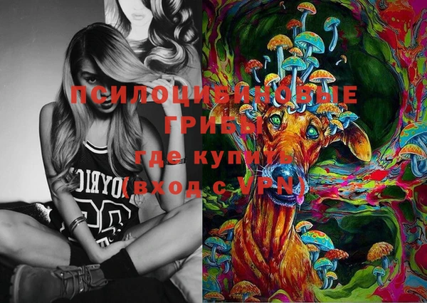 твердый Алексин