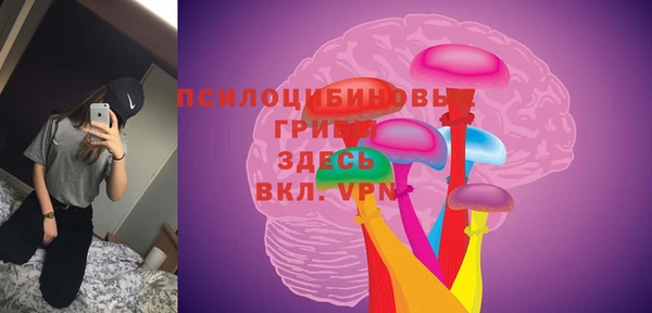 твердый Алексин