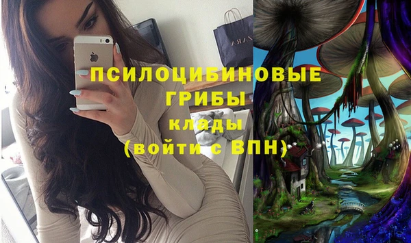 твердый Алексин