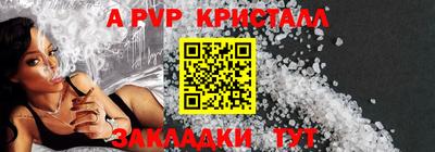 мет Кингисепп