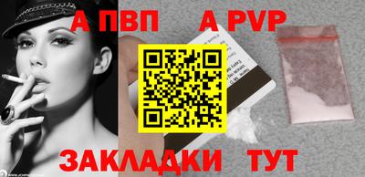 мет Кингисепп