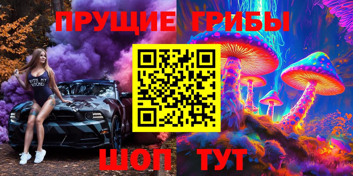 Псилоцибиновые грибы Psilocybine cubensis Красноярск