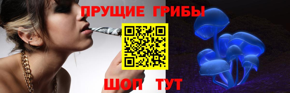 где купить наркоту  Вход с VPN  Красноярск  Галлюциногенные грибы Psilocybe 